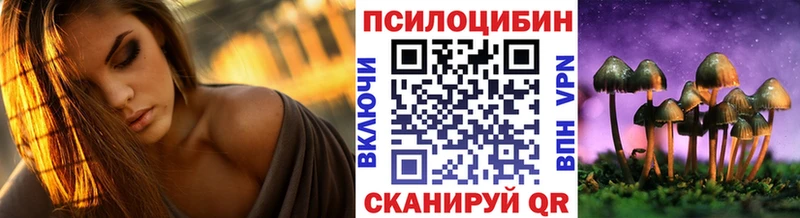 Галлюциногенные грибы мицелий  Кедровый 